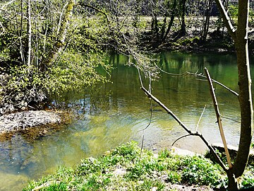 Confluent de la Beauronne (en bas à gauche) et de l'Isle à Saltgourde.