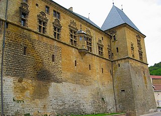 <span class="mw-page-title-main">Château de Cons-la-Grandville</span> Castle in Lorraine, France