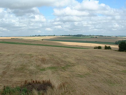 Pola między Crécy-en-Ponthieu i Wadicourt, gdzie rozegrała się bitwa