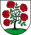 Annaburg: Rosenstrauch mit 3:2 Blüten