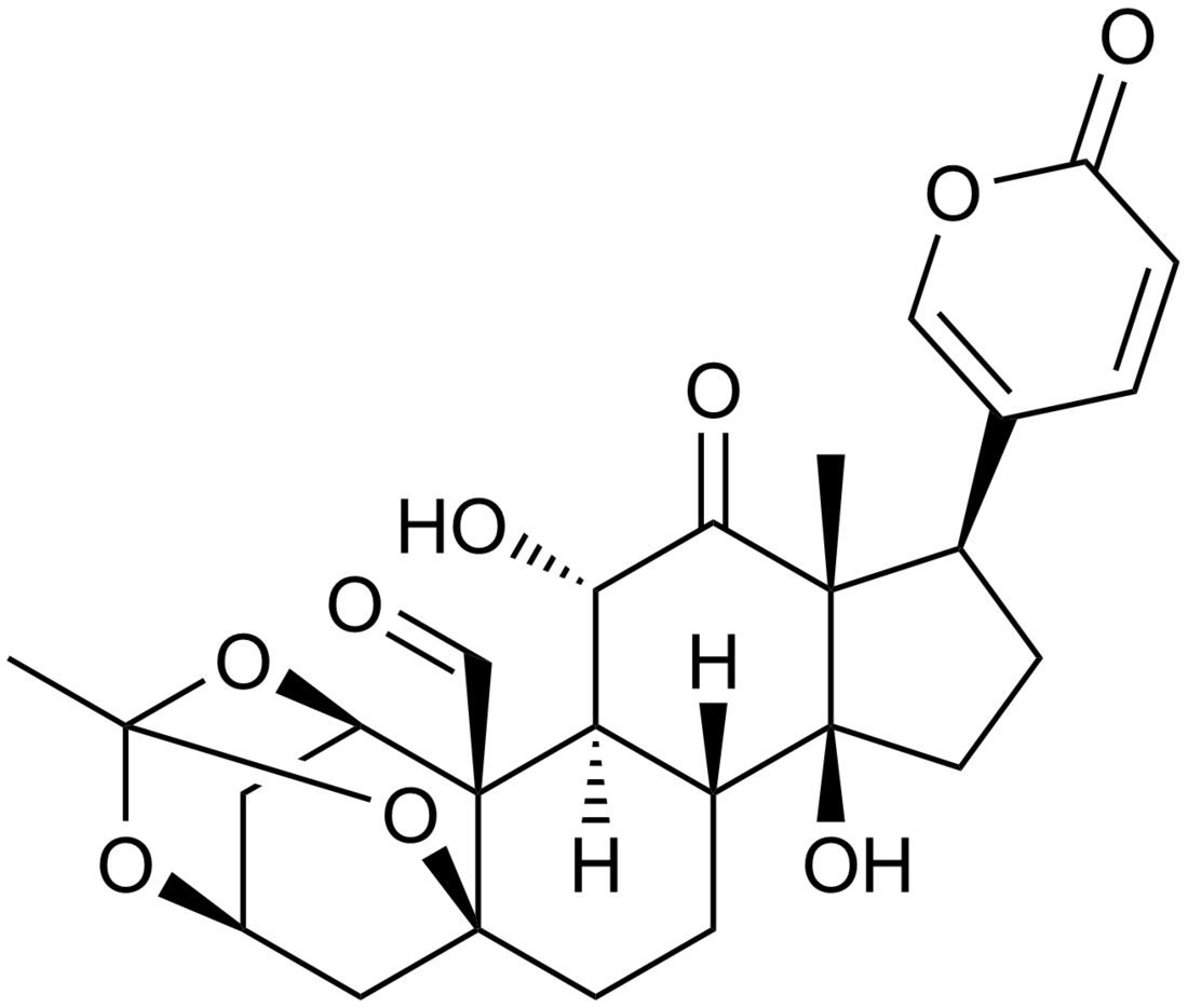 Daigremontianina