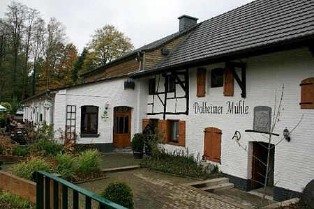 Dalheimer Mühle 1