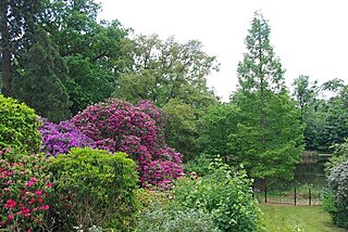 <span class="mw-page-title-main">Danbury Country Park</span> Country park in Essex, England