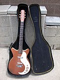 Vignette pour Danelectro