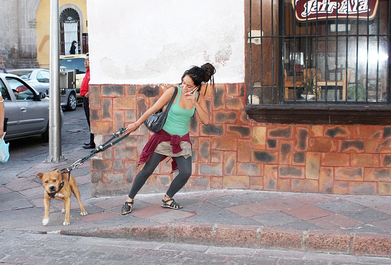 File:De paseo en Querétaro - Flickr - sergioniebla.jpg