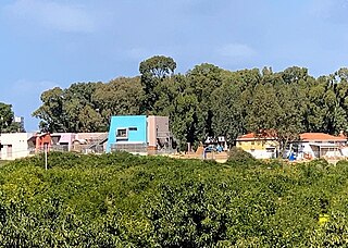 <span class="mw-page-title-main">Democratic School of Hadera</span> School in Hadera, Israel