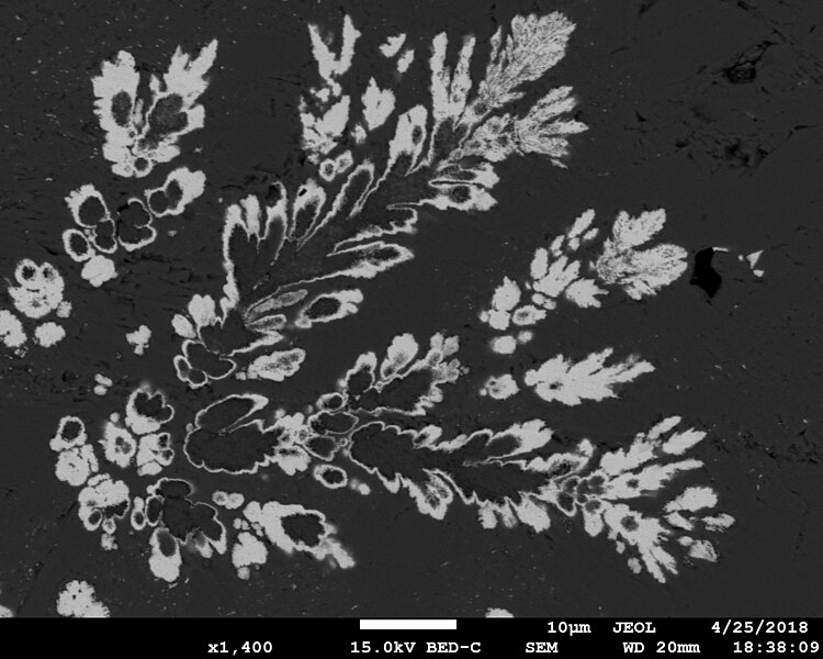 File:Dendritic pyrite and galena from the Lisheen mine, south Ireland.jpg