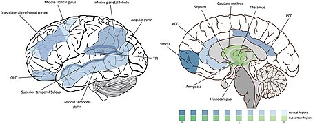 Figure 2. Diagram of brain regions