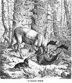Die Gartenlaube (1865) b 108.jpg Der verwundete Damhirsch