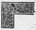 File:Die Gartenlaube (1899) b 0548_a_2.jpg Photographien auf Glas