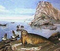 Diorama représentant les phoques moines à ventre blanc (Monachus monachus albiventer) du cap Kaliakra, sous-espèce de la mer Noire aujourd'hui disparue.