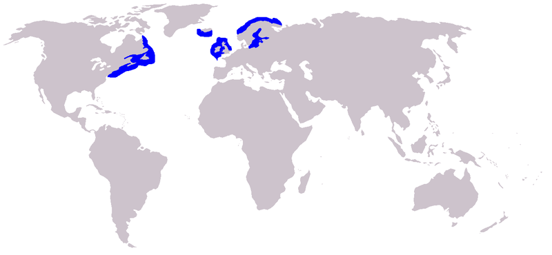 File:Distribution of the grey seal.png