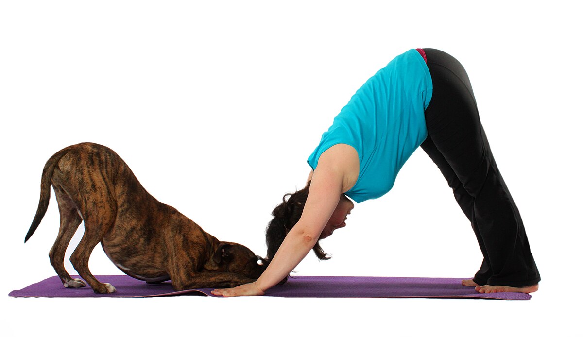 Doga (yoga) - Wikipedia