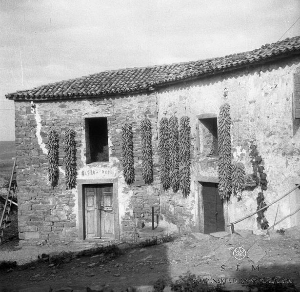 File:Druge Škofije 331, pr Mora (na Mandrji) 1949.jpg