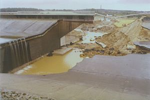 Elbe-Seitenkanal: Geschichte, Verlauf, Bauwerke