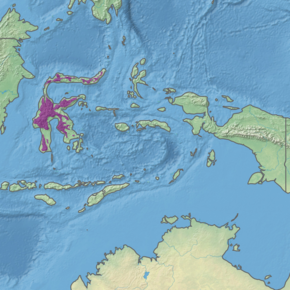 Description de l'image Ecoregion AA0124.png.