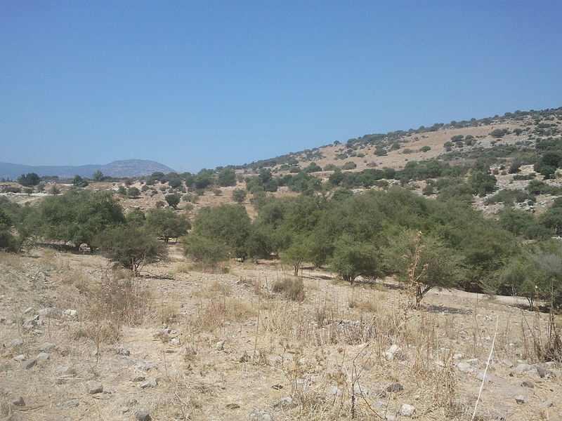 File:Ein Hoquq general view 1.jpg