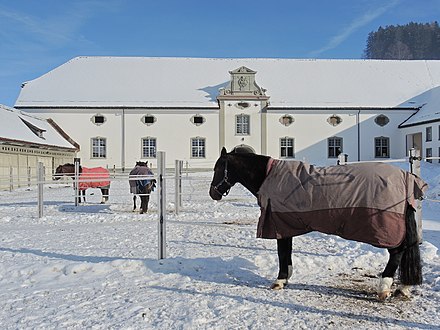 horse breeding farms