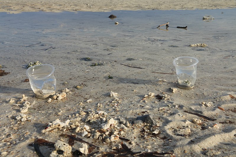 File:Engangskrus - one time cup in plastics on the beach of Bantayan 4.jpg