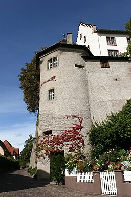 Engen - Hauptstraße - Krenkinger Schloss 09 ies