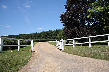 Entrance to Lanwade Viewed from the B1085, this track leads to Lanwade, part of the Lanwades Stud. Entrance to Lanwade - geograph.org.uk - 1355432.jpg