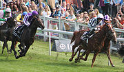 Vorschaubild für Derby Stakes