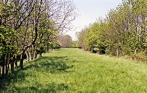 Eydon Road Halt сайтының географиясы-3465457-by-Ben-Brooksbank.jpg