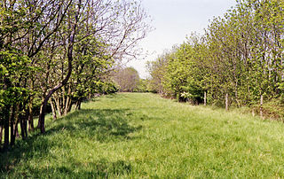 <span class="mw-page-title-main">Eydon Road Halt railway station</span> Former railway station in England