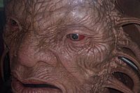 The Face of Boe as shown at the Doctor Who Experience. Face of Boe (2658982087).jpg