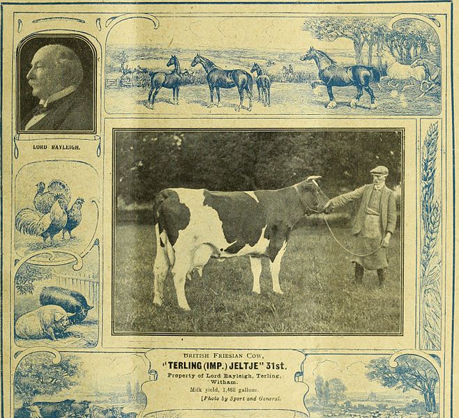 File:Farmer and stockbreeder (1919) (14586126099).jpg