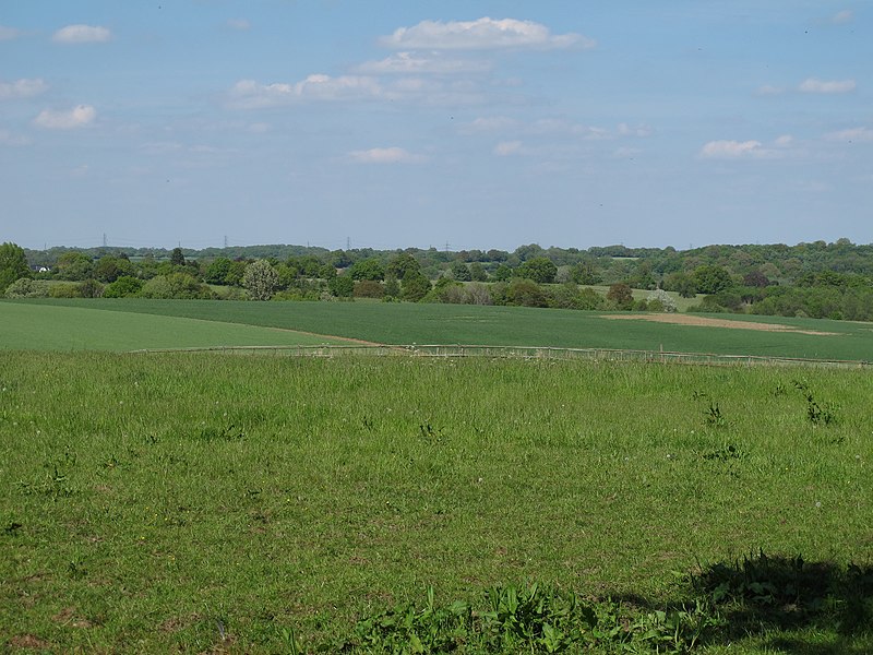 File:Farmland near Southey Green Farm - geograph.org.uk - 3482010.jpg