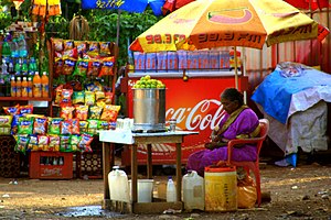 Female street vendor in India (2064872925).jpg