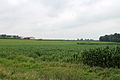 Field in Anthony Township, Montour County, Pennsylvania 2.JPG
