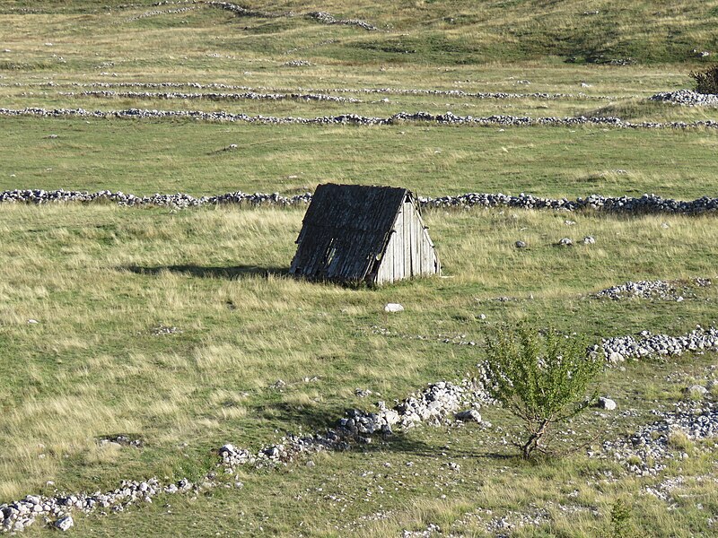 File:Fields south of Žabljak, Montenegro, September 2022 03.jpg