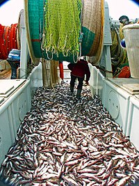 Wild fish stocks are a rivalrous good, as the amount of fish caught by one boat reduces the number of fish available to be caught by others. Fish0192 - Flickr - NOAA Photo Library.jpg
