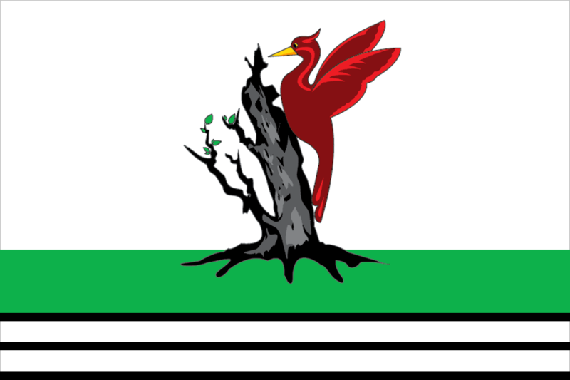 File:Flag of Elabuzhsky rayon (Tatarstan).png