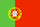 Flag of Portugal (WFB 2000).png