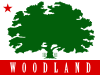 Flag of Woodland, California