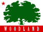 Woodland ê kî-á