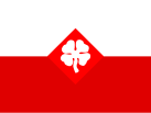 Flago de la Kvara armeo