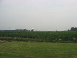 Bidang sepanjang Ohio Turnpike di timur Florence Township