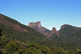 Flores da Tijuca 60.jpg