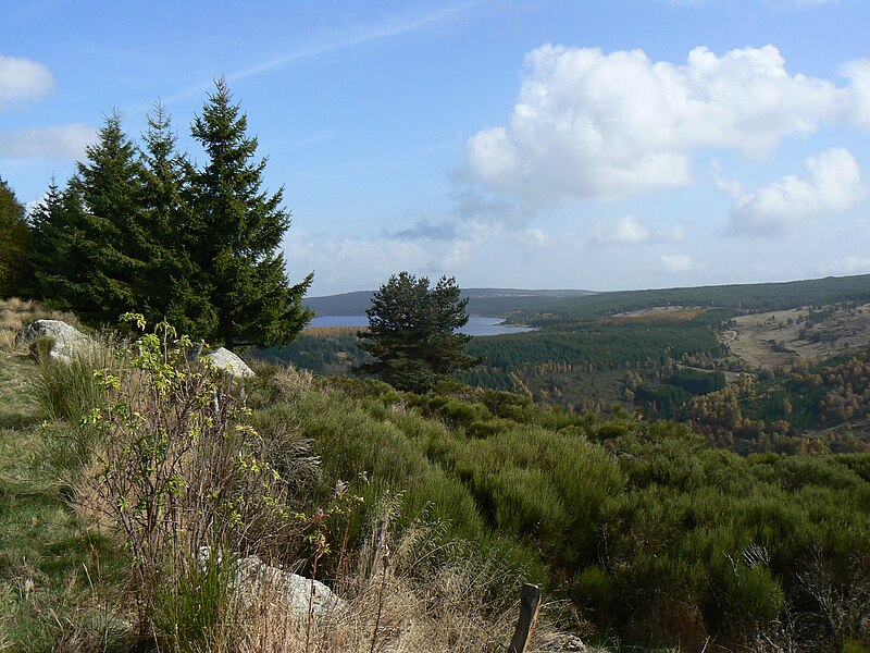 File:France Lozère Lac de Charpal 7.jpg