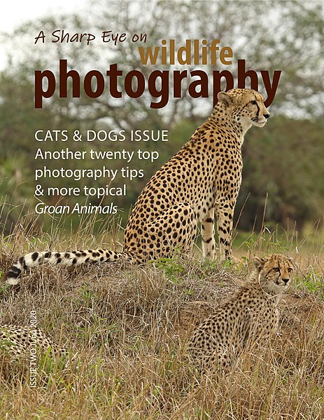 File:Front cover of A Sharp Eye on wildlife photography - Issue Two.jpg