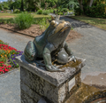 * Nomination A fountain with a frog in the botanical garden of Hof, Germany. --PantheraLeo1359531 16:44, 7 January 2023 (UTC) * Promotion  Support Good quality. --Rjcastillo 17:22, 7 January 2023 (UTC)