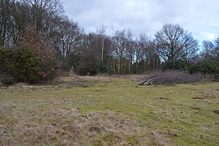 <span class="mw-page-title-main">Gamlingay Cinques</span> Nature reserve in the United Kingdom