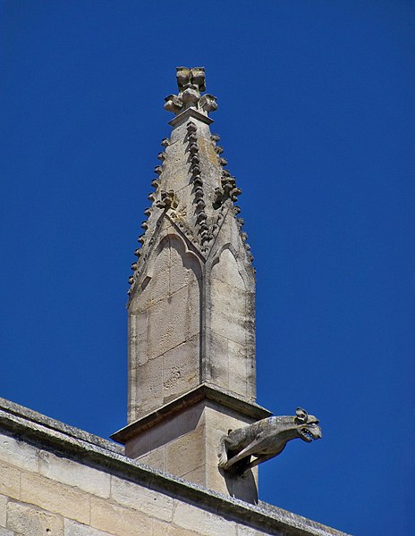 File:Gargouille collégiale.jpg