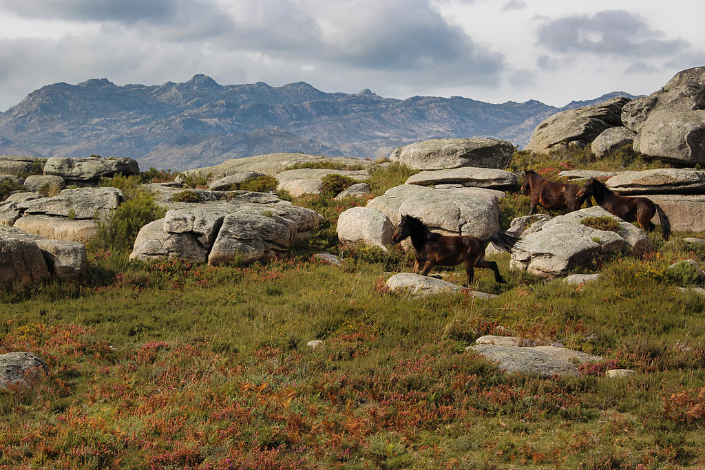 Parc national de Peneda-Gerês près de Porto - Photo de João Malho