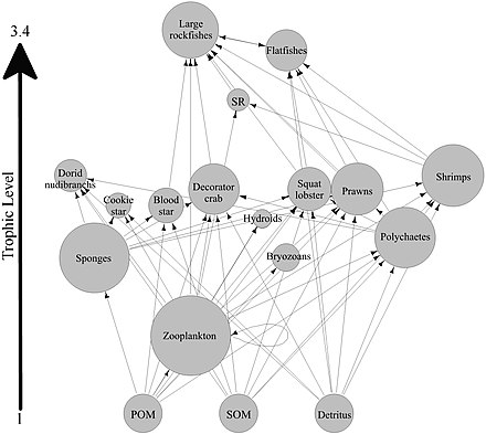 Generalised food web for sponge reefs Generalised food web for sponge reefs.jpg