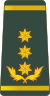 Georgia-Army-OF-8.svg
